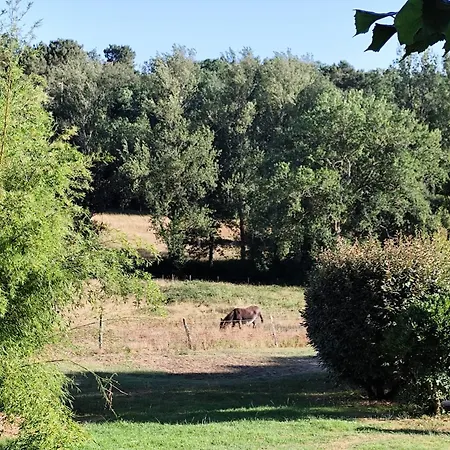 דירה Le Petit De L'etang *